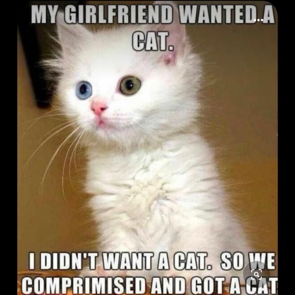 CLOSED GAME! SEE NEW #12 GAME Go To: Category, Women, Other! - Picture 13 of 16